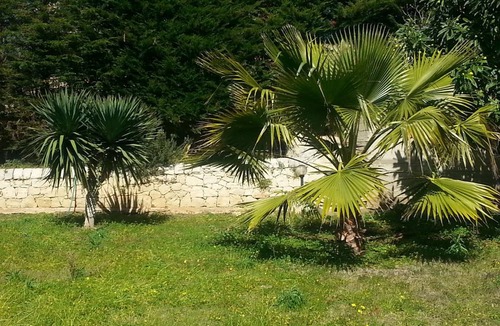 Cava dʼAliga Apartment | 75 m² Apartment ∙ 2 bedrooms ∙ 4 guests