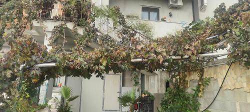 Ispica House | 75 m² House ∙ 2 bedrooms ∙ 4 guests