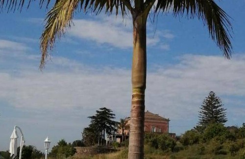 Coste House | 80 m² House ∙ 1 bedroom ∙ 4 guests