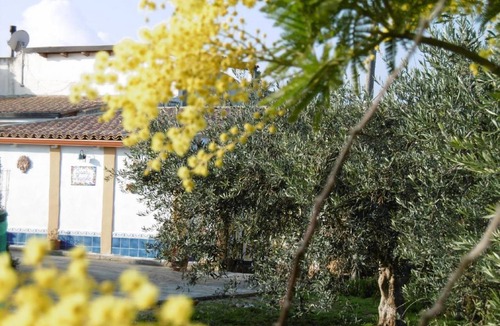 Partinico House | 90 m² House ∙ 4 bedrooms ∙ 8 guests