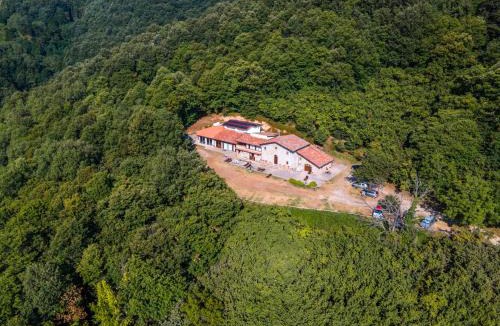 Longi House | Agriturismo il Vignale