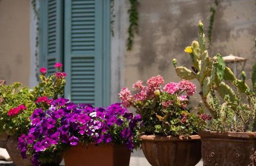 Carlentini House | Agriturismo Pietre di Gelo