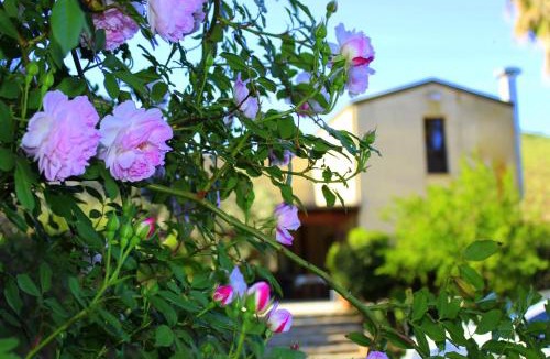 Alcamo House | Agriturismo Tarantola