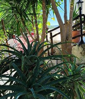 Noto House | Alabianca