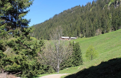 Andelsbuch Apartment | Apart Greber Bersbuch - Andelsbuch, Bregenzerwald - Schwarzenberg