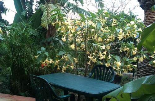 Cefalu Apartment | Apart in villa Sea view Sand beach