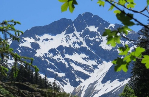 Mittelberg Apartment | Apartment / 2 bedrooms / shower / WC, No. 5 - Haus Walser Berge - Family ter Braak
