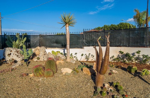 Tiche Apartment | Apartment 'Appartamento A Ficu Pala Siracusa' with Sea View, Wi-Fi and Air Conditioning