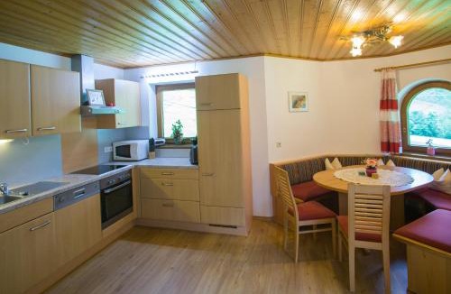 Mayrhofen Apartment | Apartment Bergblick