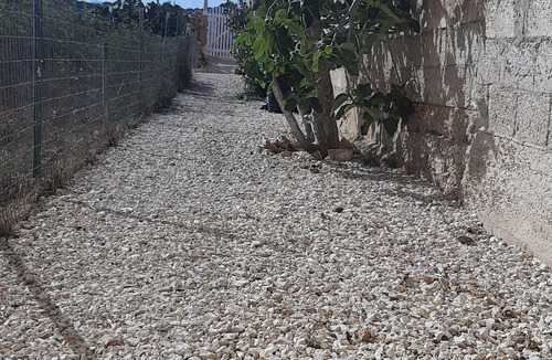 Lampedusa House | Apartment/Lampedusa/140mt from the beach
