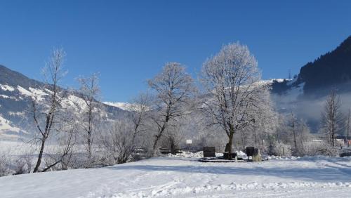 Hippach Apartment | Appart Tirol