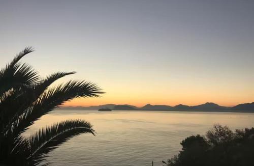 Palermo Apartment | Appartamento in Villa Palme, vista e accesso mare