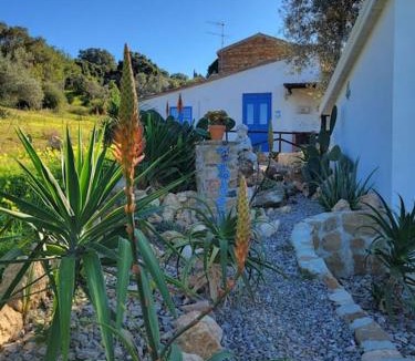 Acquedolci House | Appartamento Origano