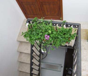 Trapani Bed & Breakfast | Area 12 BB