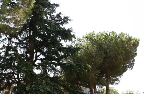 Tremestieri Etneo Bed & Breakfast | B&B Etna Country - Iris room