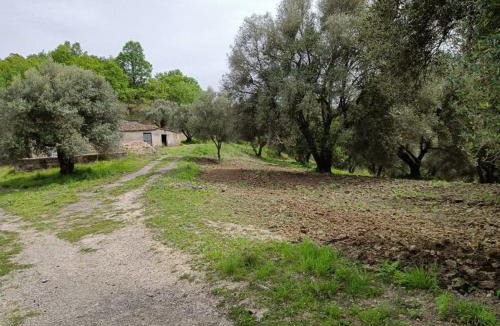 Sant'Onofrio Bed & Breakfast | B&B Le Casette