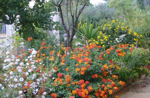 Caltanissetta House | B&B S. ELIA GREEN room: ENCHANTING VILLA IMMERSED IN THE HISTORICAL DUBINI PARK
