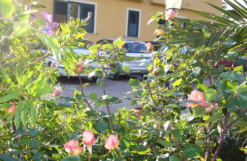 Caltanissetta House | B&B S. ELIA GREEN room: ENCHANTING VILLA IMMERSED IN THE HISTORICAL DUBINI PARK