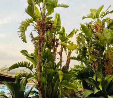 Palermo Bed & Breakfast | B&B Sole e Luna