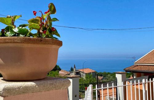 Maratea Bed & Breakfast | B&B Villa Rosa Angrisano