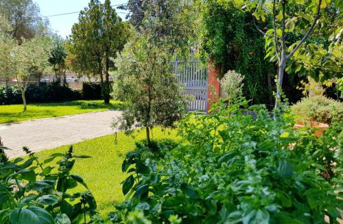Pedara Bed & Breakfast | B&B Welcome