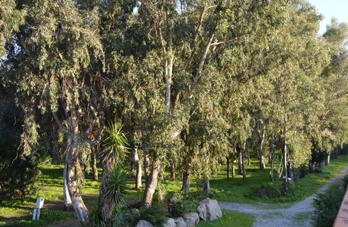 Terme Vigliatore Other | Batuca Village & Camping
