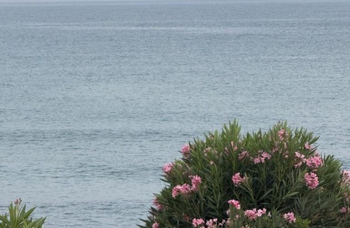 S'oru e Mari Villa | Beach House Sant'Andrea
