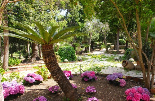Valderice Villa | Beautiful period villa overlooking the gulf of Monte Cofano and Erice