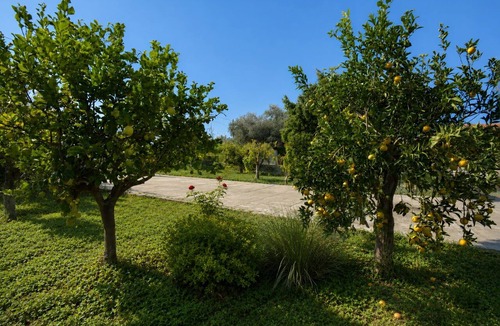 Augusta Villa | Beautiful private villa with WIFI, A/C, private pool, TV, patio, pets allowed and panoramic view