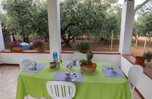 Balestrate Villa | Beautiful Villa Francesca between Olives trees and garden, sea view, wifi free.