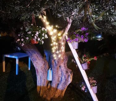 Contrada Pistavecchia 2 Bed & Breakfast | Beb oasi marina