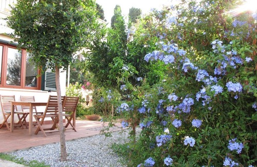 Parghelia House | Casa 1 Des Bains - Casa Margherita