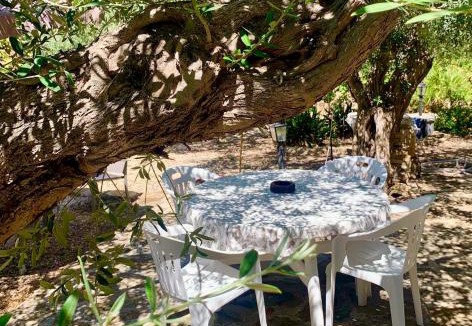 Paceco House | Casa dell'Olio - Al Baglio