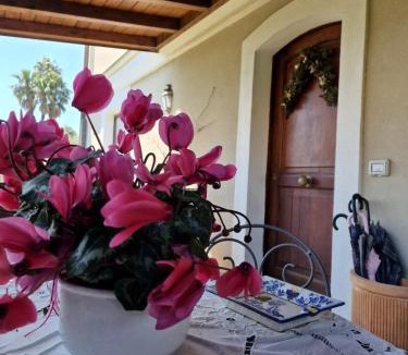 Trecastagni Bed & Breakfast | Casa Delle Coccole