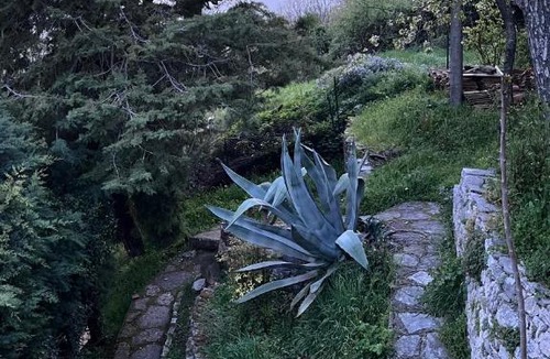 Castelpizzuto House | Casa di Delia