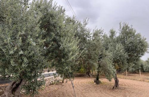 Chiaramonte Gulfi Bed & Breakfast | Casa di Mirto