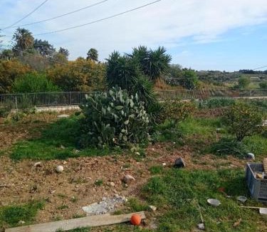 Castellammare del Golfo House | Casa Francesco