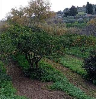 Calatafimi House | Casa Gelferraro