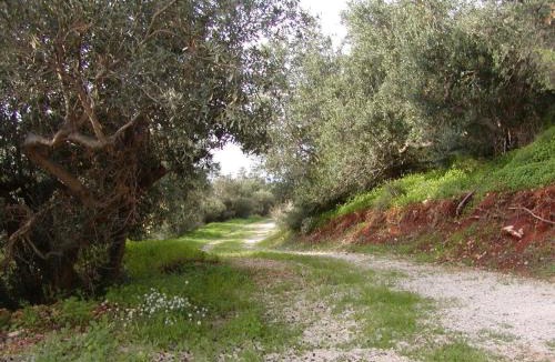 Castelluzzo House | Casa panorama