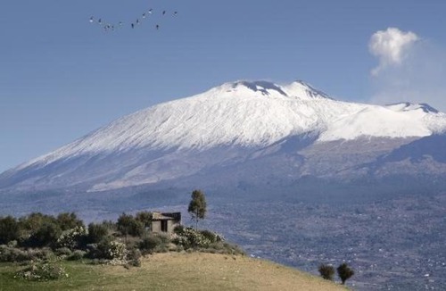 Santa Venerina House | Casa relax