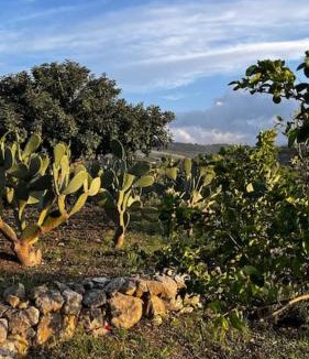 Misilmeri Villa | Casa Rosalia - Home and Garden