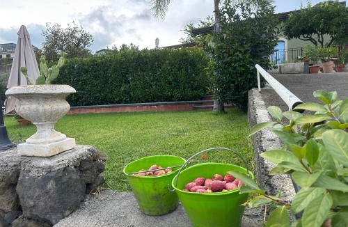 Mascali Villa | Casa Verde Ulivo