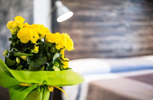 Santo Stefano di Camastra Bed & Breakfast | Casadada Bed and Breakfast