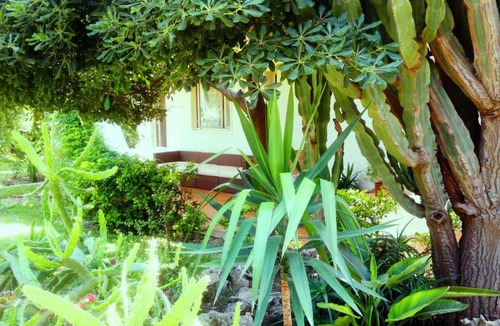 Fontane Bianche Bed & Breakfast | CasaHotel SURLAMER