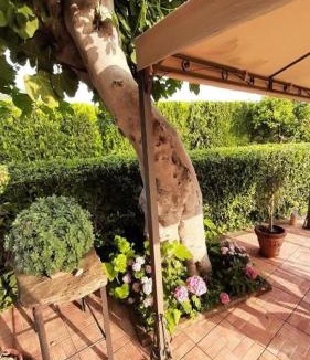 Vallo Scalo Bed & Breakfast | Casale Battaglini
