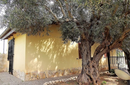 Gallina Ski Chalet | Casetta degli Ulivi - Small house with garden 5 minutes from the beach