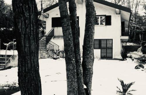 Trecastagni Bed & Breakfast | Castagneto dell ETNA