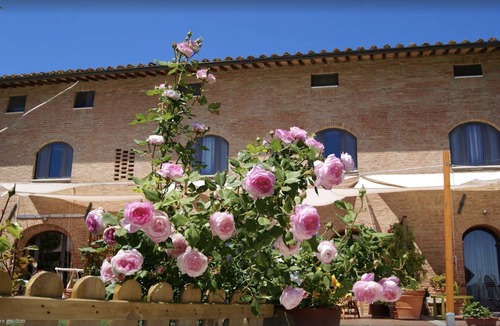 Sovicille Apartment | Chic Tuscan apartment pool spectacular view modern comfort wifi air conditioning