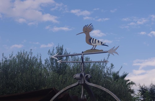 Viagrande House | Completely renovated ancient millstone with private pool with Jacuzzi.