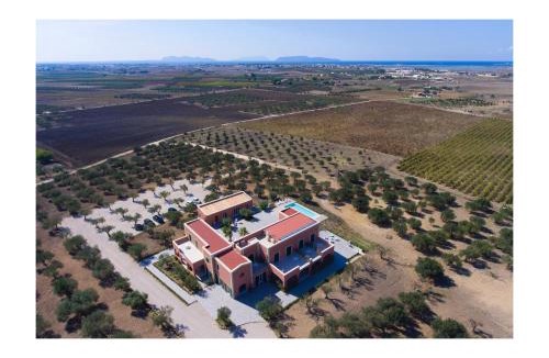 Paceco Resort | Corte Olea Resort